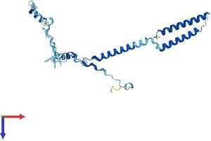AlphaFold protein structure predicition of Human Recombinant ENKUR Protein, UniprotID Q8TC29