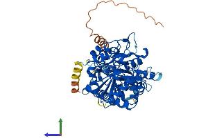 AlphaFold protein structure predicition of Human Recombinant B3GLCT Protein, UniprotID Q6Y288
