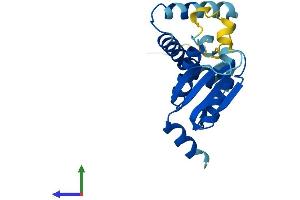 AlphaFold protein structure predicition of Mouse Recombinant Trappc5 Protein, UniprotID Q9CQA1