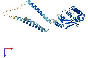 AlphaFold protein structure predicition of Human Recombinant OTUD6B Protein, UniprotID Q8N6M0
