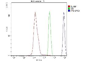 Flow Cytometry analysis of SiHa cells using anti-CRM1 antibody (ABIN4886771). (XPO1 anticorps  (AA 966-1071))