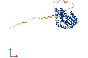AlphaFold protein structure predicition of Mouse Recombinant Ttpal Protein, UniprotID Q9D3D0