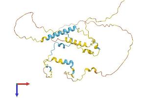 AlphaFold protein structure predicition of Mouse Recombinant P33monox Protein, UniprotID Q9DBN4