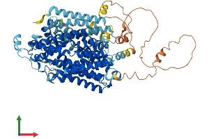 AlphaFold protein structure predicition of Human Recombinant SLC5A3 Protein, UniprotID P53794