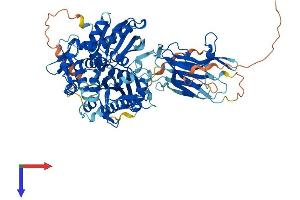AlphaFold protein structure predicition of Mouse Recombinant Hspa12b Protein, UniprotID Q9CZJ2
