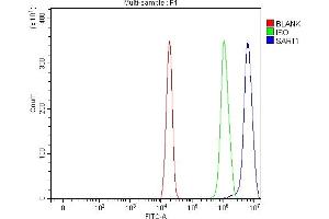 Flow Cytometry analysis of U20S cells using anti-SART1 antibody (ABIN7599884).