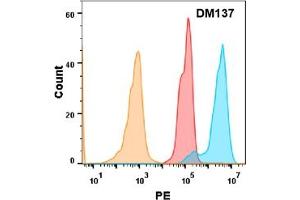 5T4 protein is highly expressed on the surface of Expi293 cell membrane. (TPBG anticorps  (AA 32-355))