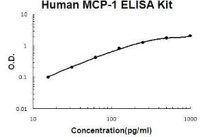 Human MCP-1 PicoKine ELISA Kit standard curve