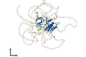 AlphaFold protein structure predicition of Mouse Recombinant Mastl Protein, UniprotID Q8C0P0