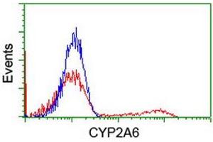 Flow Cytometry (FACS) image for anti-Cytochrome P450, Family 2, Subfamily A, Polypeptide 6 (CYP2A6) antibody (ABIN1497723) (CYP2A6 anticorps)