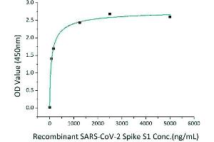 Immobilized Recombinant Human ACE2 at 2 μg/mL (100 μL/well) can bind Recombinant 2019-nCoV Spike S1-TEVS-hFc-His with a linear range of 78-82.
