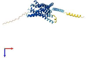 AlphaFold protein structure predicition of Human Recombinant GPR183 Protein, UniprotID P32249