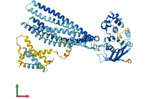 AlphaFold protein structure predicition of Human Recombinant TAP2 Protein, UniprotID Q03519