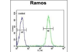 C19orf63 Antibody (N-term) (ABIN651381 and ABIN2840212) flow cytometric analysis of Ramos cells (right histogram) compared to a negative control cell (left histogram). (EMC10 anticorps  (N-Term))