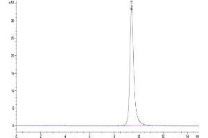The purity of SARS-CoV-2 Spike RBD (Lambda C.