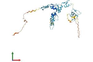 AlphaFold protein structure predicition of Human Recombinant GTF3A Protein, UniprotID Q92664