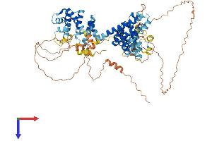AlphaFold protein structure predicition of Human Recombinant LAS1L Protein, UniprotID Q9Y4W2