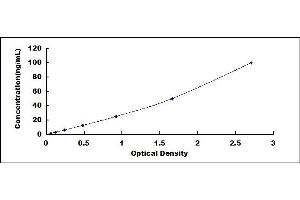 Typical standard curve (REG1B Kit ELISA)