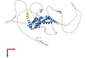 AlphaFold protein structure predicition of Human Recombinant HNF1B Protein, UniprotID P35680