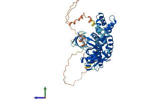 AlphaFold protein structure predicition of Mouse Recombinant Arhgef9 Protein, UniprotID Q3UTH8