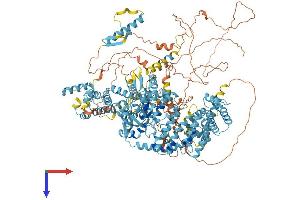 AlphaFold protein structure predicition of Human Recombinant RGS22 Protein, UniprotID Q8NE09