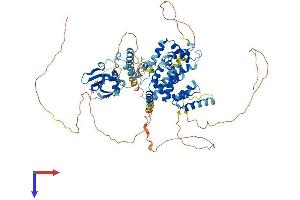 AlphaFold protein structure predicition of Mouse Recombinant Satb2 Protein, UniprotID Q8VI24