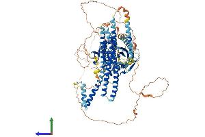 AlphaFold protein structure predicition of Human Recombinant KIF18A Protein, UniprotID Q8NI77