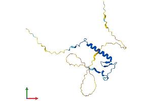 AlphaFold protein structure predicition of Human Recombinant CDKN1B Protein, UniprotID P46527