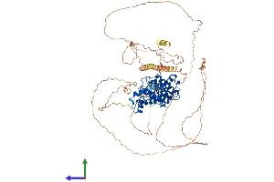 AlphaFold protein structure predicition of Human Recombinant SENP5 Protein, UniprotID Q96HI0