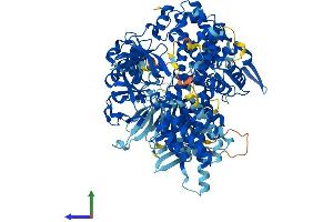 AlphaFold protein structure predicition of Human Recombinant RAPGEF4 Protein, UniprotID Q8WZA2