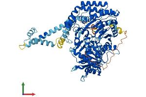 AlphaFold protein structure predicition of Mouse Recombinant Cpt1c Protein, UniprotID Q8BGD5
