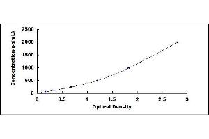 Glutamate Receptor 1 (GLUR1) ELISA Kit