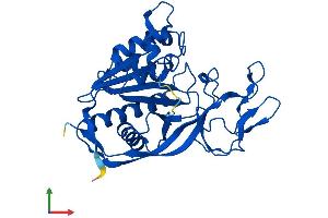 AlphaFold protein structure predicition of Mouse Recombinant Aspa Protein, UniprotID Q8R3P0