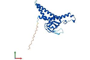 AlphaFold protein structure predicition of Human Recombinant GINS4 Protein, UniprotID Q9BRT9