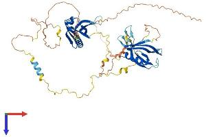 AlphaFold protein structure predicition of Human Recombinant DOK1 Protein, UniprotID Q99704