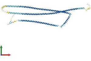 AlphaFold protein structure predicition of Human Recombinant CFAP53 Protein, UniprotID Q96M91