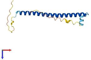 AlphaFold protein structure predicition of Human Recombinant CREBL2 Protein, UniprotID O60519