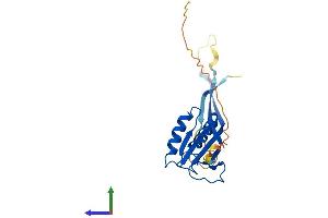 AlphaFold protein structure predicition of Mouse Recombinant Rpp25 Protein, UniprotID Q91WE3