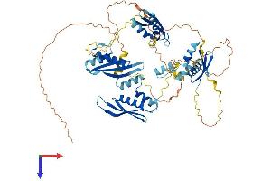 AlphaFold protein structure predicition of Mouse Recombinant Stau2 Protein, UniprotID Q8CJ67