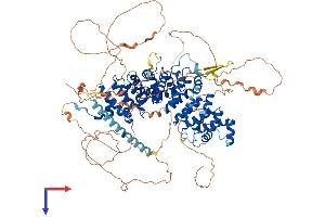 AlphaFold protein structure predicition of Human Recombinant CTNND1 Protein, UniprotID O60716