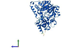 AlphaFold protein structure predicition of Mouse Recombinant Kyat3 Protein, UniprotID Q71RI9