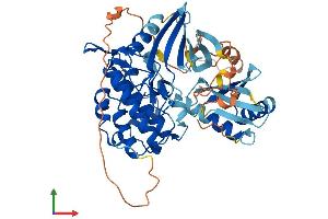 AlphaFold protein structure predicition of Mouse Recombinant Chek1 Protein, UniprotID O35280