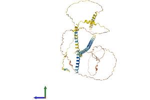 AlphaFold protein structure predicition of Mouse Recombinant Ivl Protein, UniprotID P48997