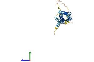 AlphaFold protein structure predicition of Mouse Recombinant Ms4a2 Protein, UniprotID P20490