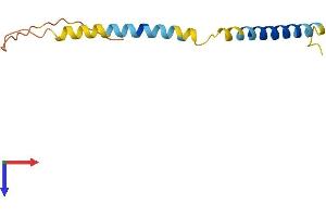 AlphaFold protein structure predicition of Human Recombinant TCEAL9 Protein, UniprotID Q9UHQ7