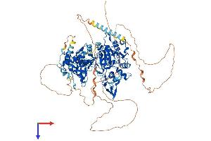 AlphaFold protein structure predicition of Mouse Recombinant Dnmt3a Protein, UniprotID O88508