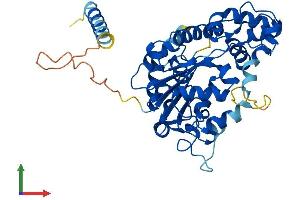 AlphaFold protein structure predicition of Human Recombinant CHST1 Protein, UniprotID O43916