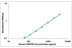 Representative Standard Curve (VEGFR2/CD309 Kit ELISA)