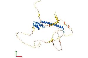 AlphaFold protein structure predicition of Mouse Recombinant Neurod1 Protein, UniprotID Q60867