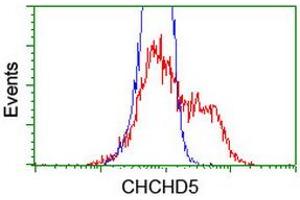 HEK293T cells transfected with either RC202606 overexpress plasmid (Red) or empty vector control plasmid (Blue) were immunostained by anti-CHCHD5 antibody (ABIN2454199), and then analyzed by flow cytometry. (CHCHD5 anticorps  (AA 1-110))
